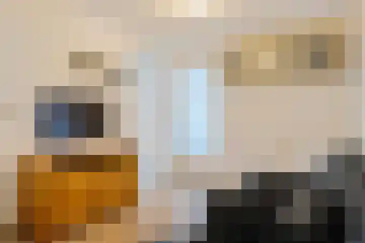 Noorderhof 9 Venray thumbnail 17