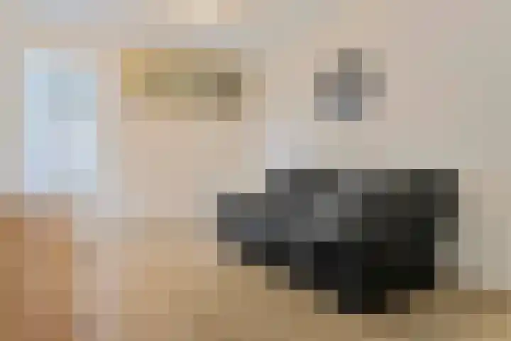 Noorderhof 9 Venray thumbnail 18