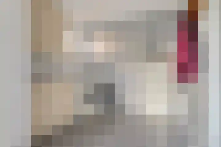 Noorderhof 9 Venray thumbnail 21
