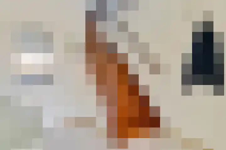 Noorderhof 9 Venray thumbnail 24