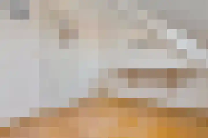 Noorderhof 9 Venray thumbnail 30