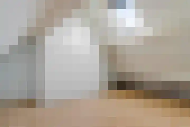 Noorderhof 9 Venray thumbnail 37