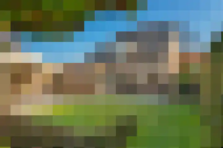 Noorderhof 9 Venray thumbnail 40