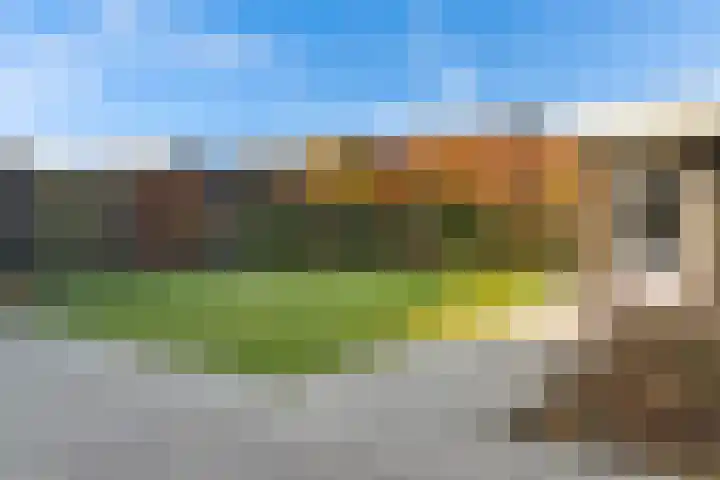 Noorderhof 9 Venray thumbnail 44