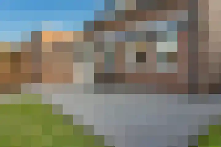 Noorderhof 9 Venray thumbnail 45