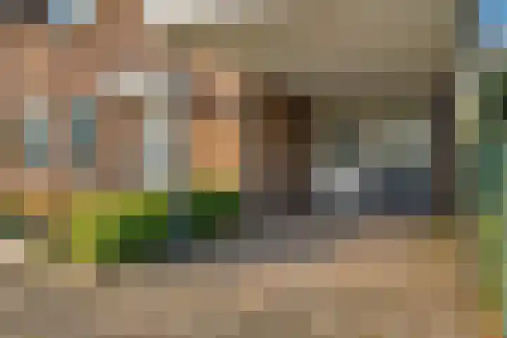 Noorderhof 9 Venray thumbnail 49