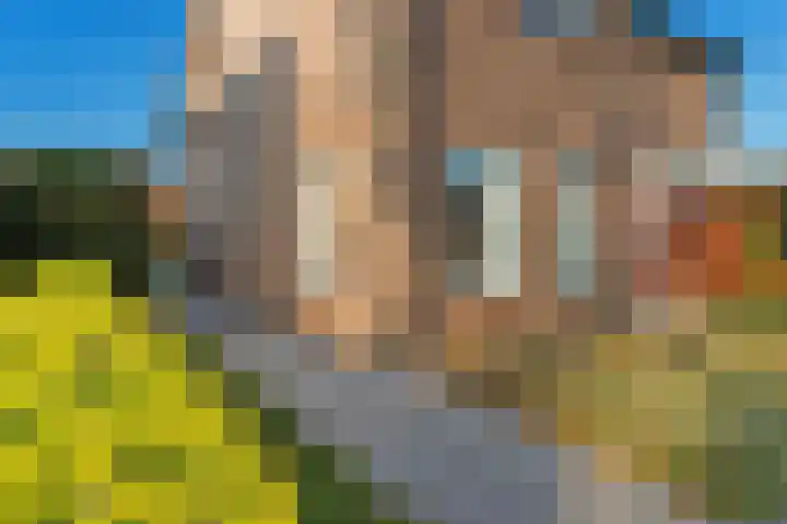 Noorderhof 9 Venray thumbnail 50