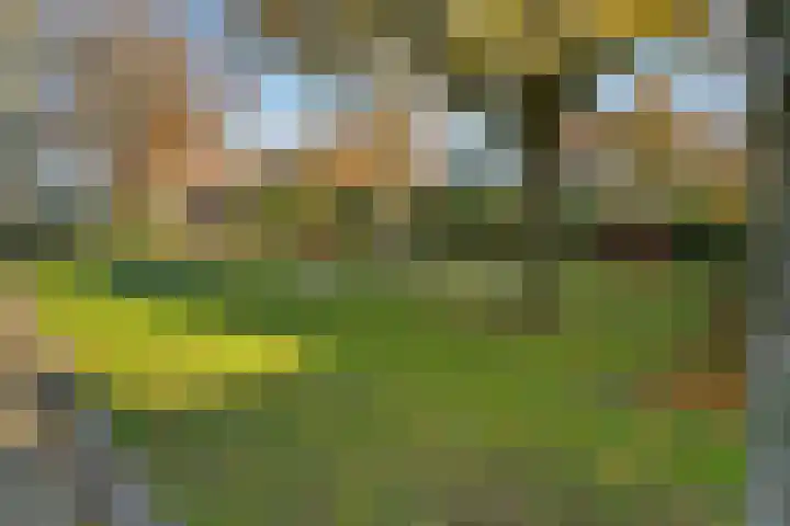 Noorderhof 9 Venray thumbnail 51