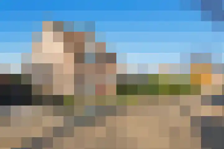 Noorderhof 9 Venray thumbnail 53