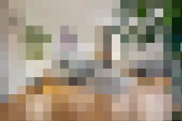 Noorderhof 9 Venray thumbnail 6