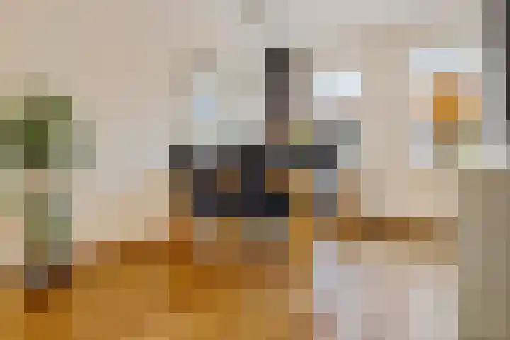 Noorderhof 9 Venray thumbnail 8