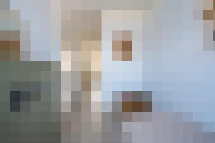Noorderhof 91 Meteren thumbnail 13