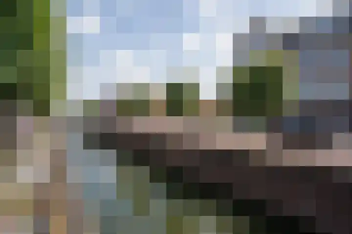Noorderhof 91 Meteren thumbnail 29