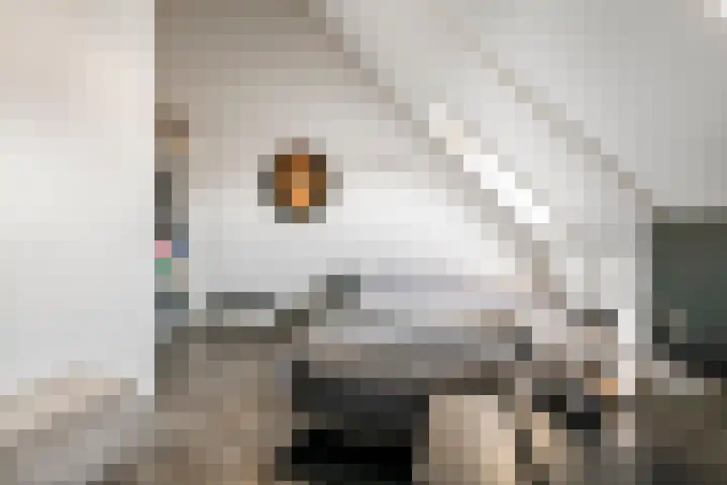 Noorderhof 99 Meteren thumbnail 22