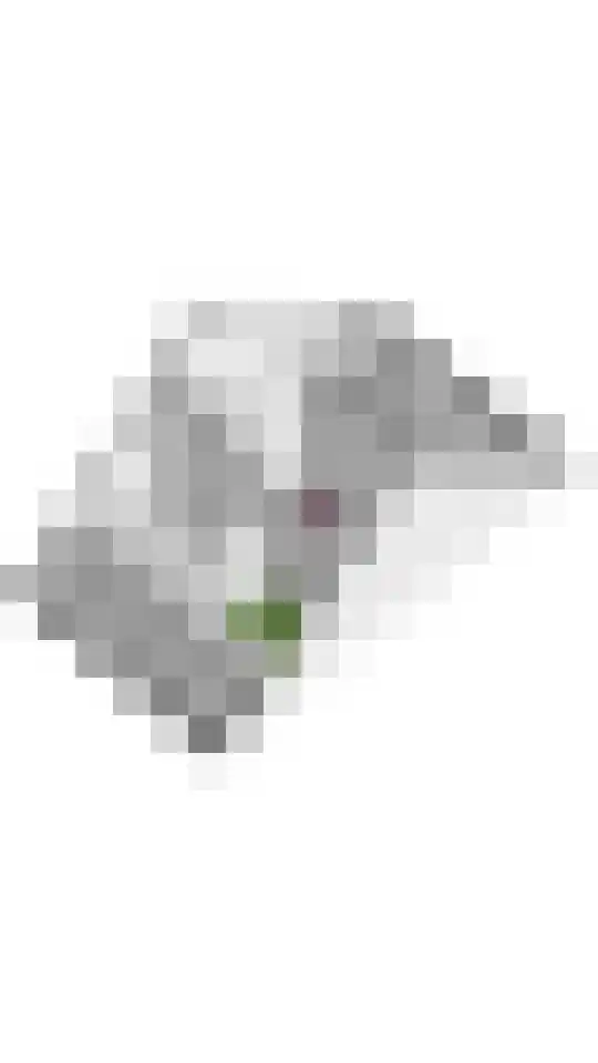 Noorderhof 99 Meteren thumbnail 33