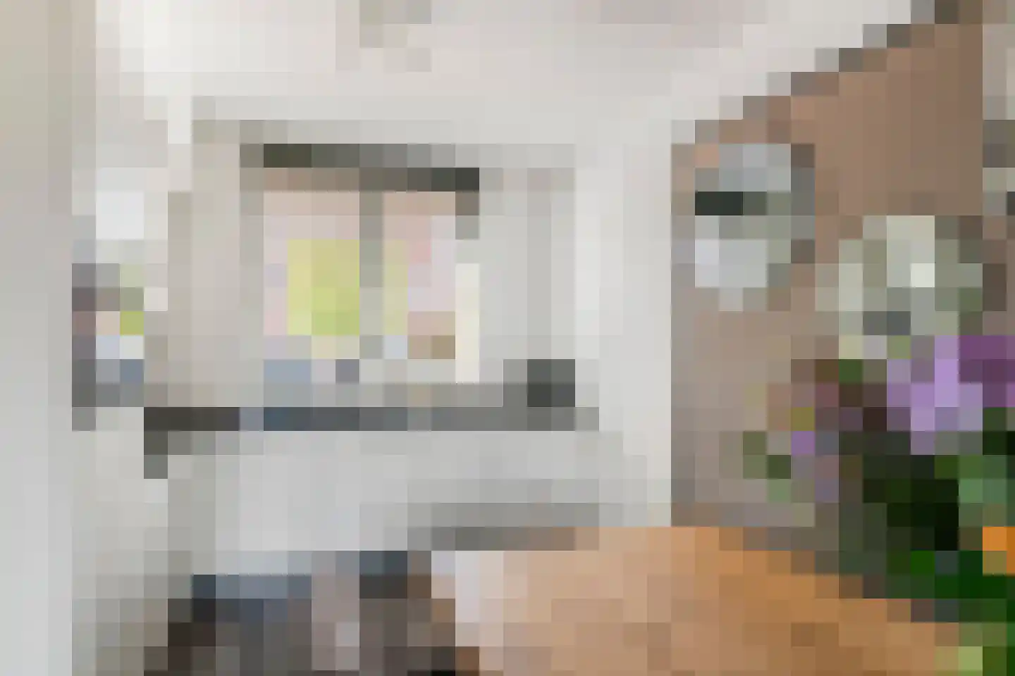 Noorderhof 99 Meteren thumbnail 9