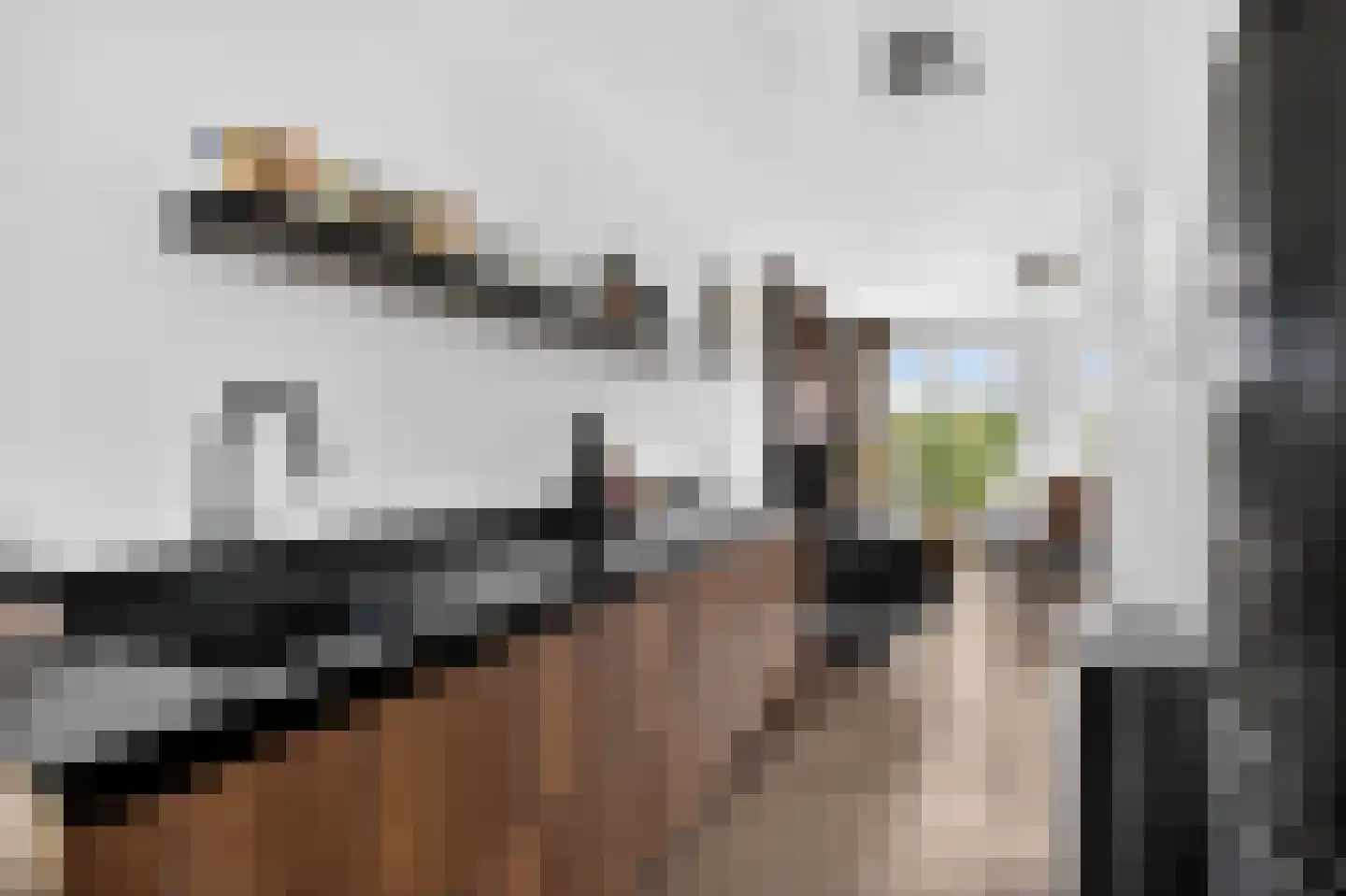 Noorderhoofd 125 Harderwijk thumbnail 13