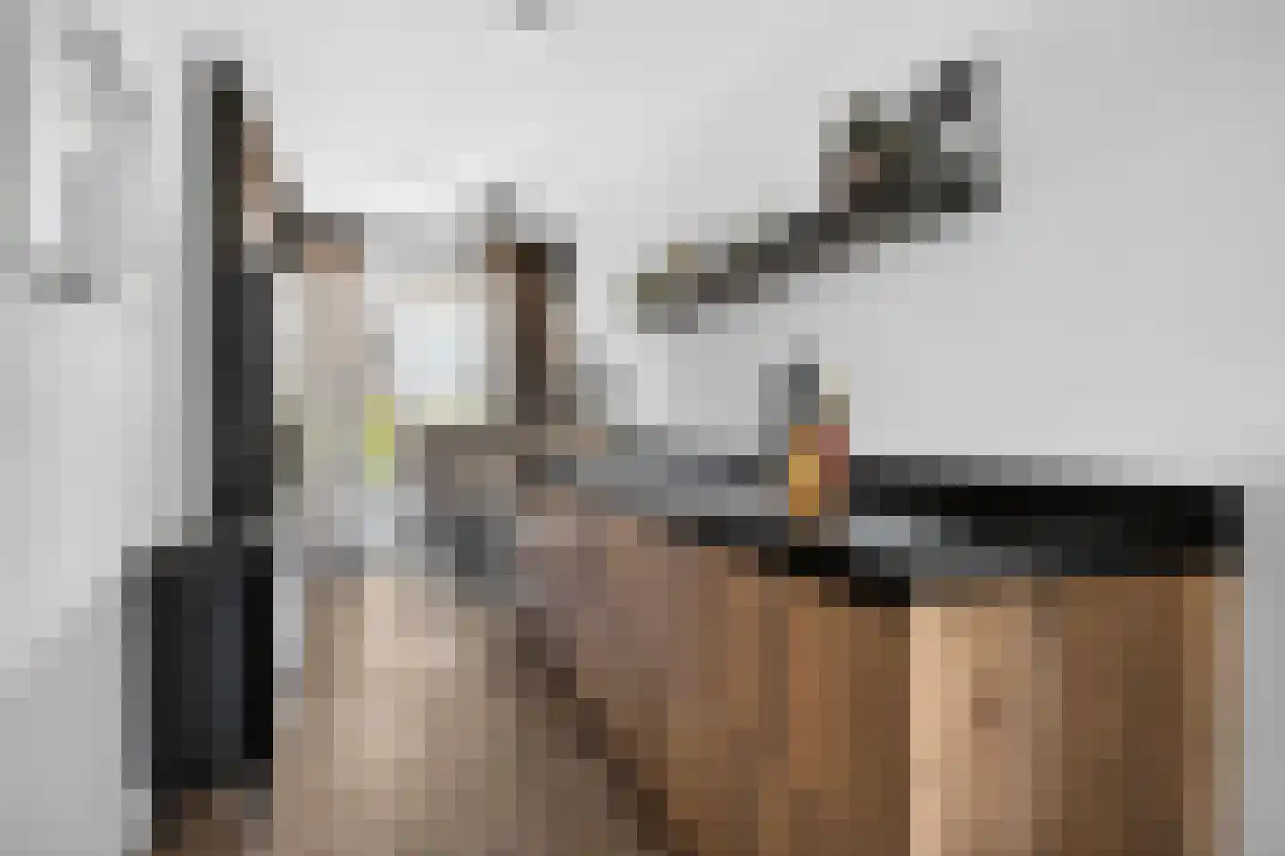 Noorderhoofd 125 Harderwijk thumbnail 15