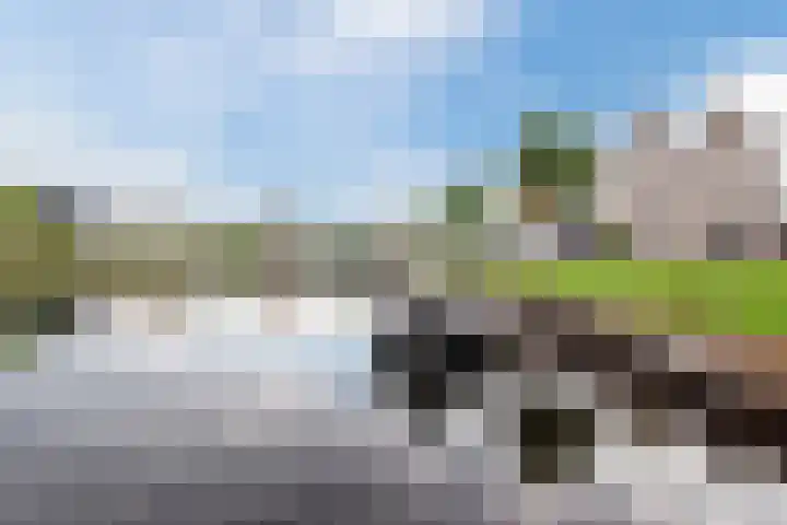 Noorderhoofd 145 Harderwijk thumbnail 34