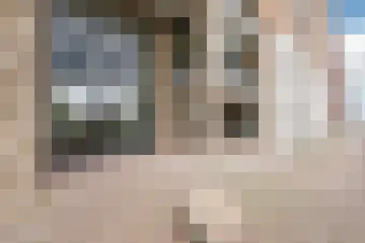 Noorderhoofd 145 Harderwijk thumbnail 4