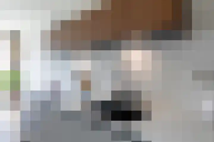 Noorderhoofd 157 Harderwijk thumbnail 19
