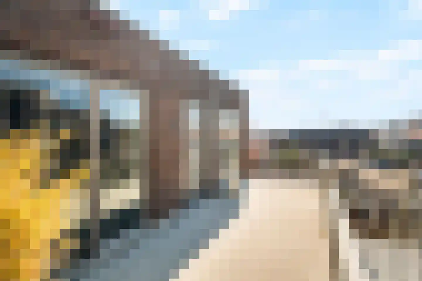 Noorderhoofd 157 Harderwijk thumbnail 28