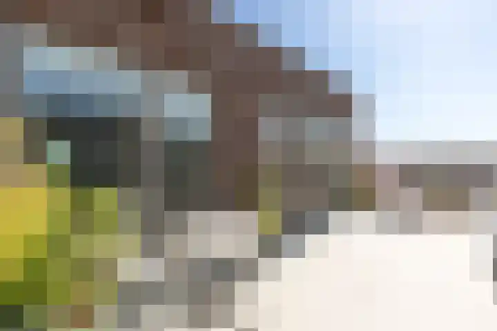Noorderhoofd 157 Harderwijk thumbnail 4