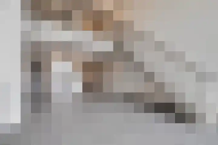 Noorderhoofd 171 Harderwijk thumbnail 26