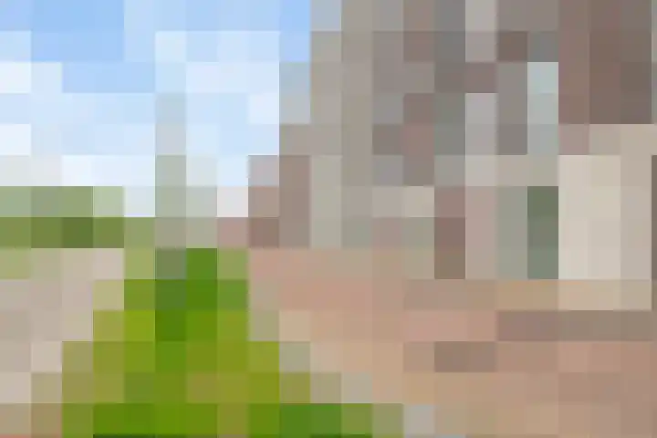 Noorderhoofd 171 Harderwijk thumbnail 31