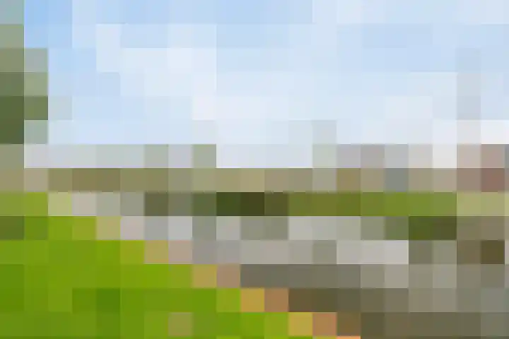 Noorderhoofd 171 Harderwijk thumbnail 32