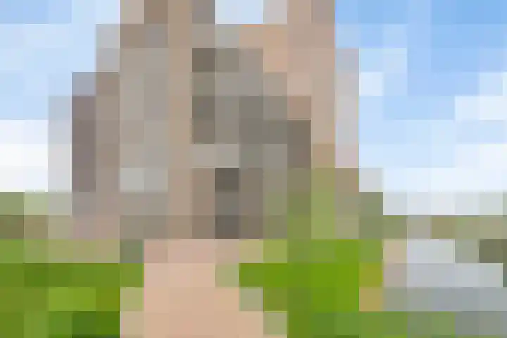 Noorderhoofd 171 Harderwijk thumbnail 37