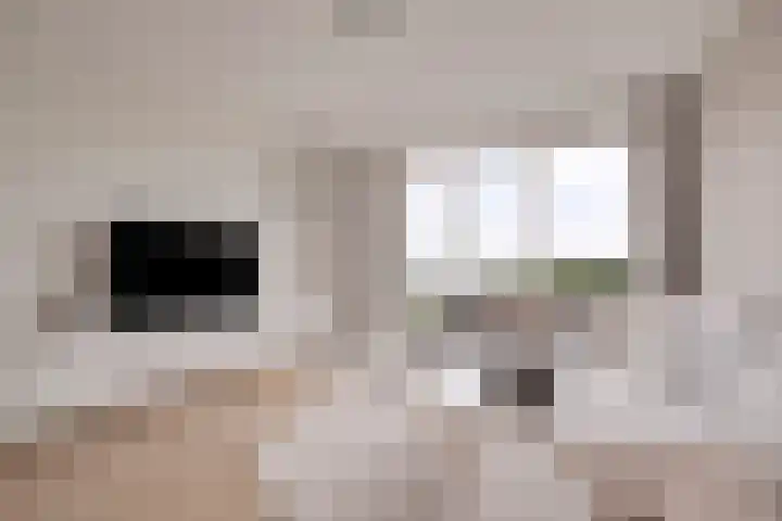 Noorderhoofd 171 Harderwijk thumbnail 4
