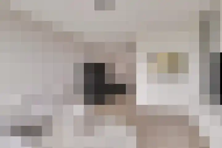 Noorderhoofd 171 Harderwijk thumbnail 6