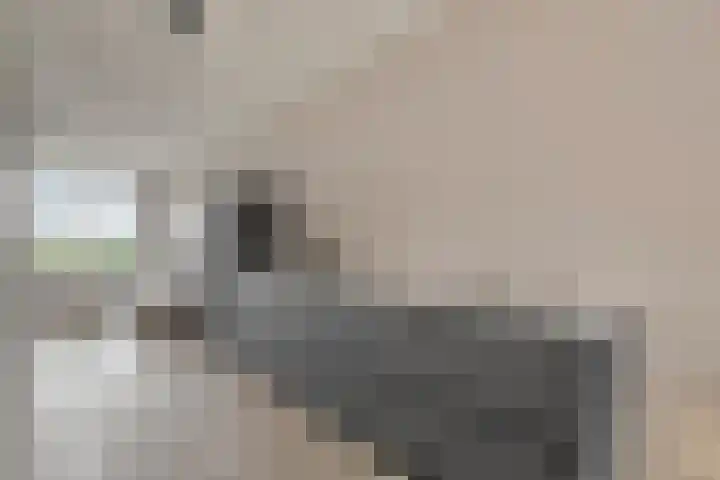 Noorderhoofd 171 Harderwijk thumbnail 8