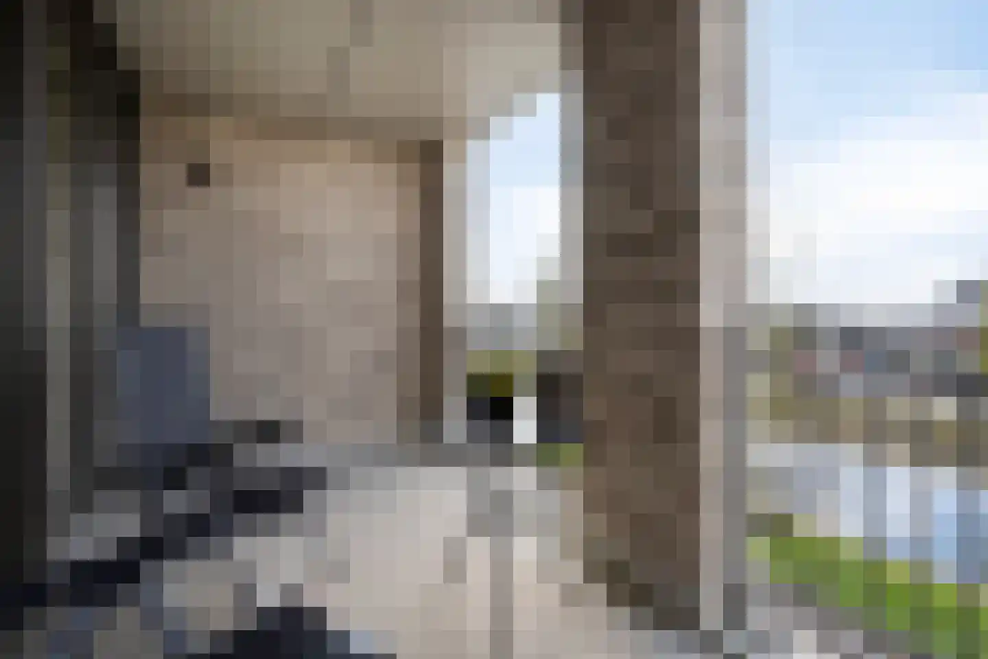 Noorderhoofd 199 Harderwijk thumbnail 18