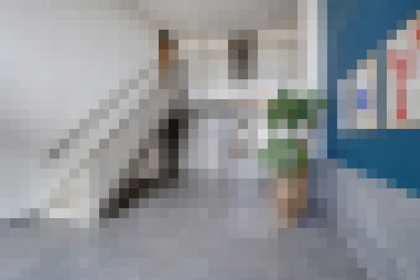 Noorderhoofd 199 Harderwijk thumbnail 5
