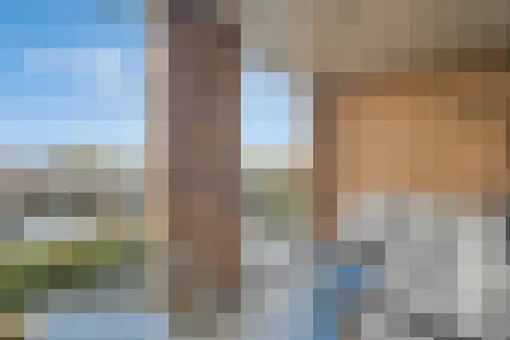 Noorderhoofd 207 Harderwijk thumbnail 14