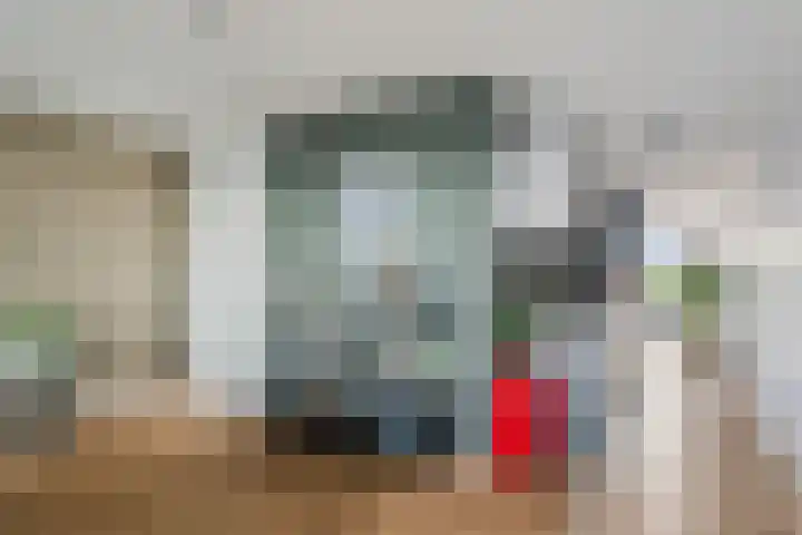 Noorderhoofd 207 Harderwijk thumbnail 17
