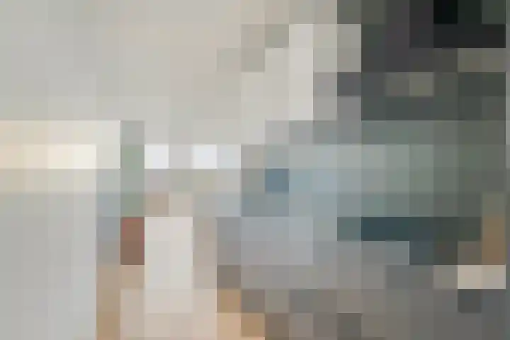 Noorderhoofd 207 Harderwijk thumbnail 18