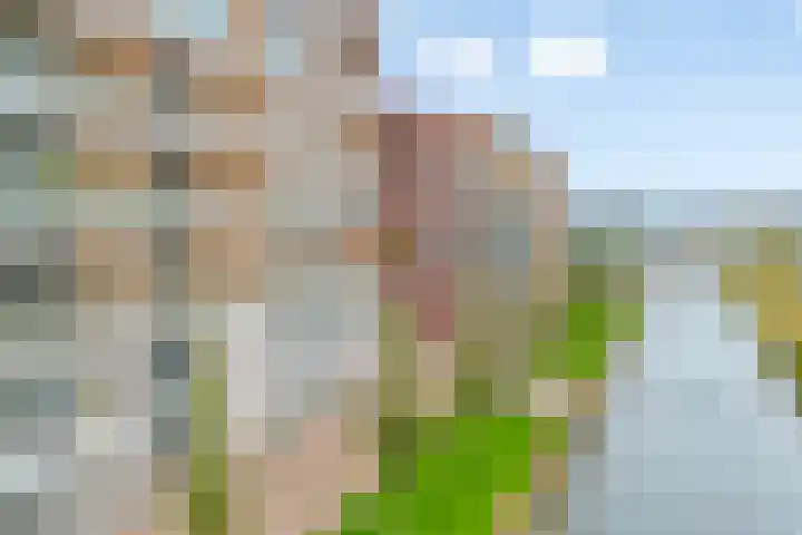 Noorderhoofd 207 Harderwijk thumbnail 33