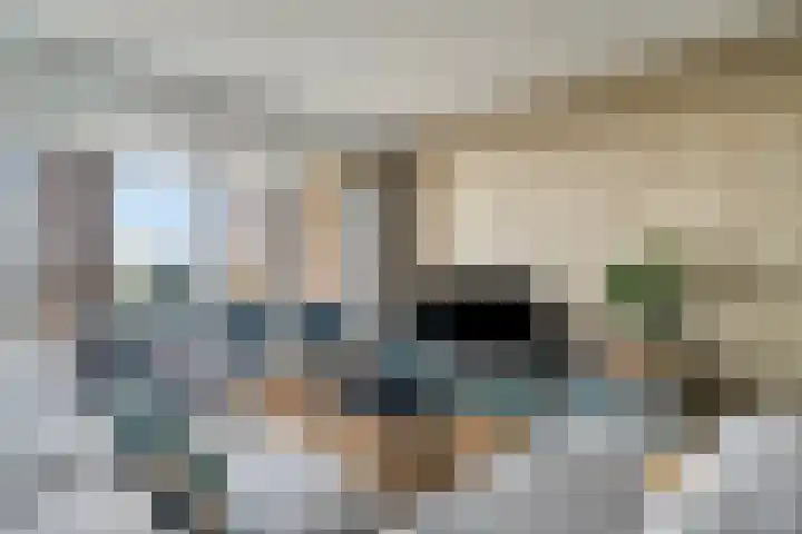 Noorderhoofd 207 Harderwijk thumbnail 8