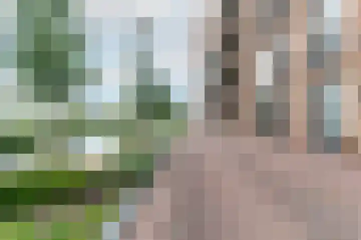 Noorderhoofd 253 Harderwijk thumbnail 37
