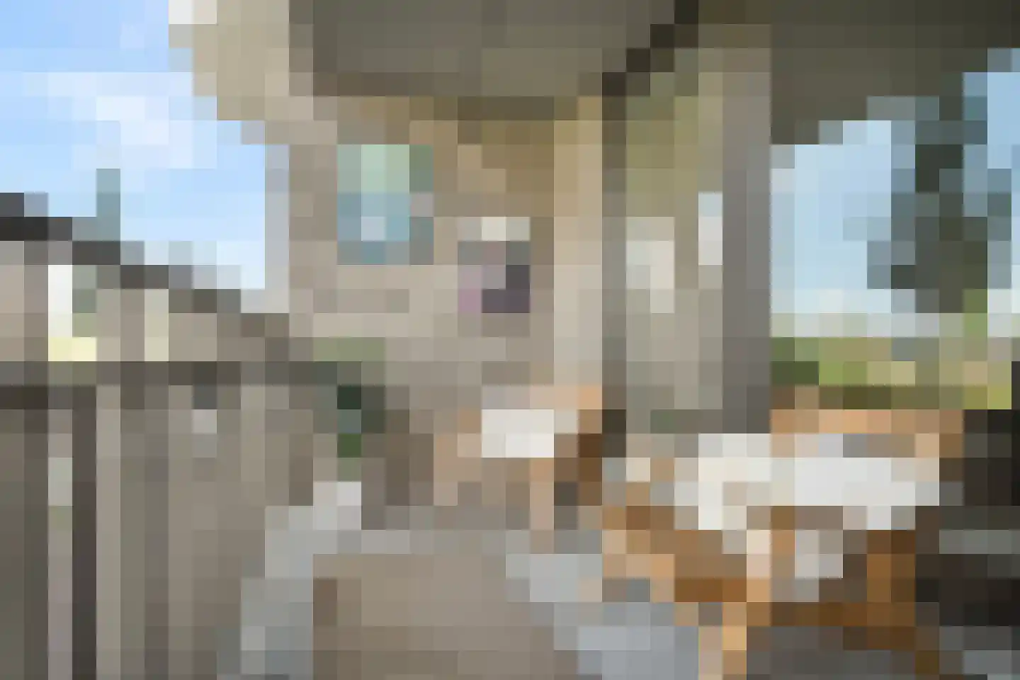 Noorderhoofd 269 Harderwijk thumbnail 19