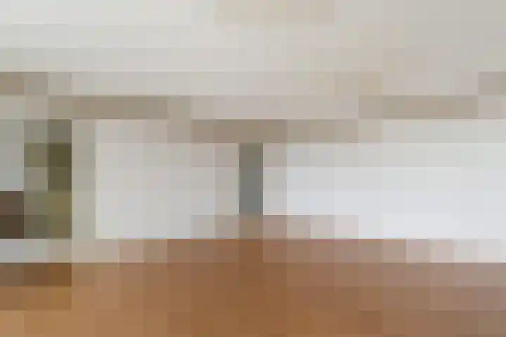 Noorderhoofd 60 Dordrecht thumbnail 11