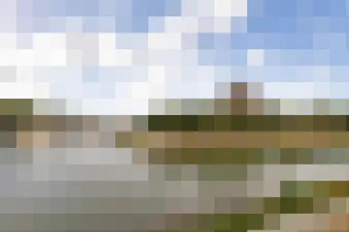 Noorderhoofd 60 Dordrecht thumbnail 31