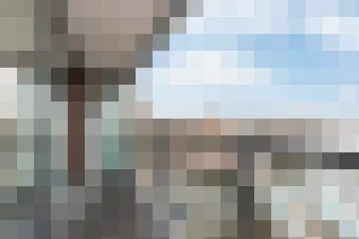 Noorderhoofd 60 Dordrecht thumbnail 4
