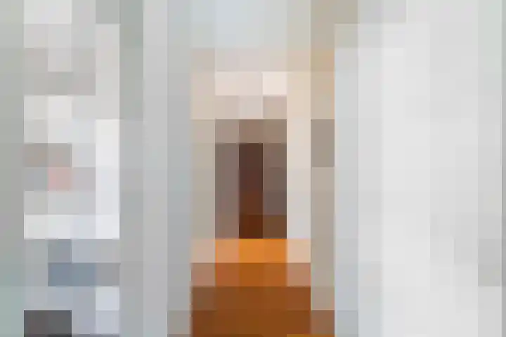 Noorderhoofd 86 Dordrecht thumbnail 8