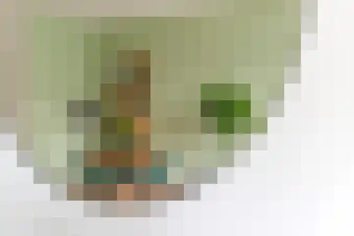 Noorderhoofdstraat 10 D Krommenie thumbnail 10