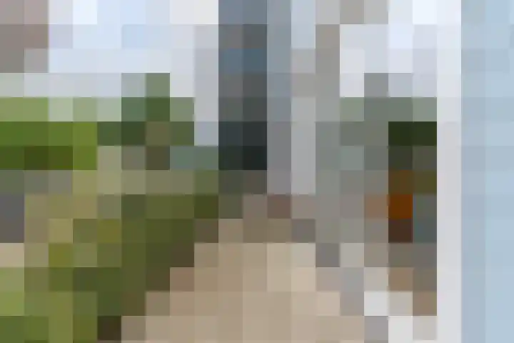 Noorderhoofdstraat 10 D Krommenie thumbnail 15