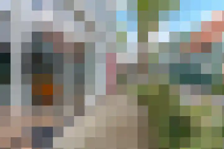 Noorderhoofdstraat 10 D Krommenie thumbnail 16